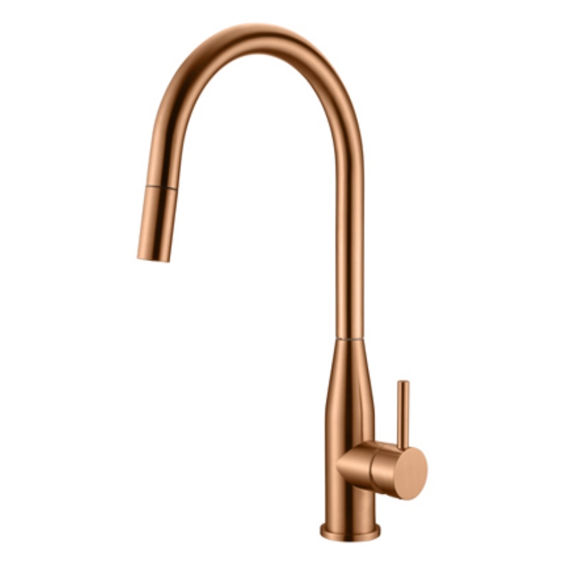 Premium Gold Kitchen Tap Faucet with Advanced Water Purification System