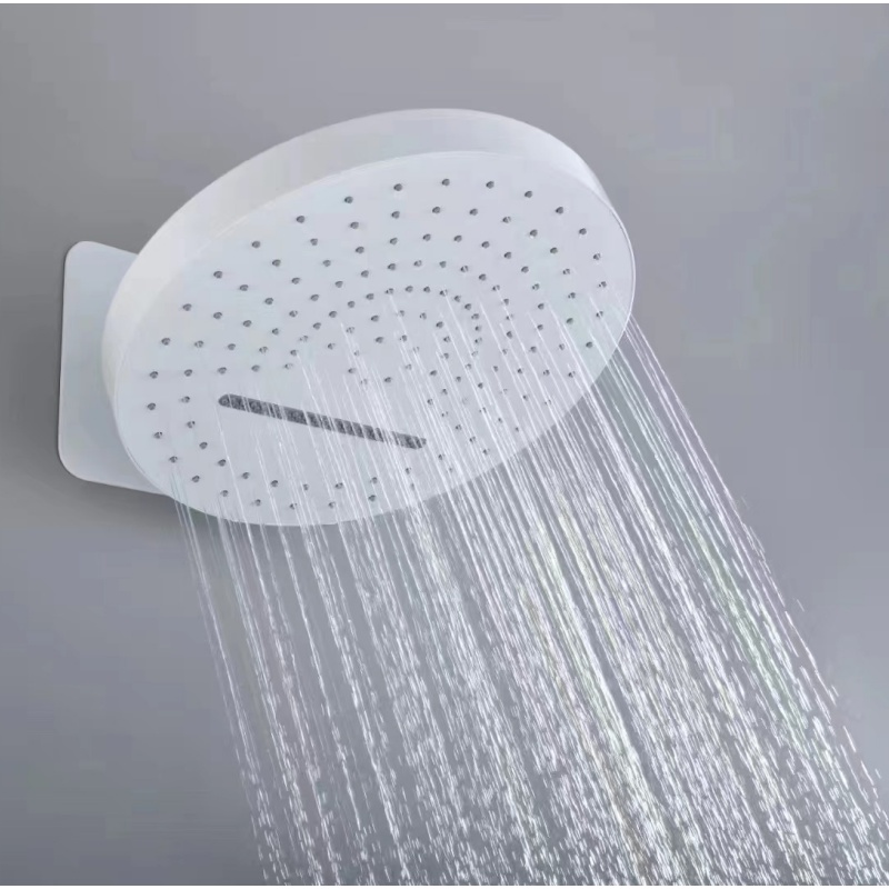Simple Design Head Shower for Bathroom Used