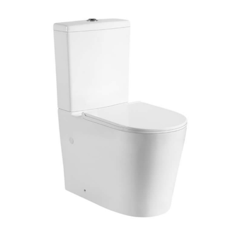 Smart Toilet with Memory Function That Remembers Your Favorite Settings